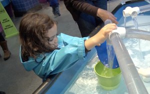 Children can grasp concepts at a higher level than we expect. Photo: Colleen Kelly, CC.